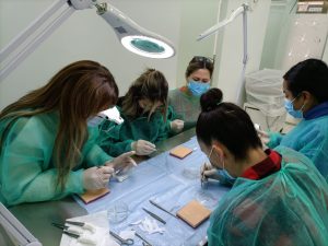 Prácticas con folículos pilosos en el curso de técnico capilar de Formación Capilar /Foto: Formación Capilar